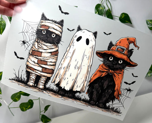 Costumes Cats DTF
