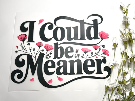 I could be meaner DTF