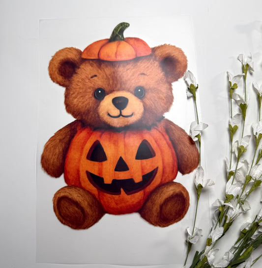 Teddy Pumpkin DTF